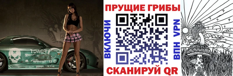 Галлюциногенные грибы прущие грибы  Купить где  Медынь 